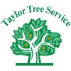 Taylor Tree Service