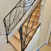 Residential Railing & Fence
