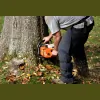Timberland Tree Service
