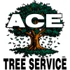 Ace Tree Service