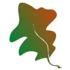 Arbortec Tree Service