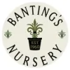 Banting's Nursery