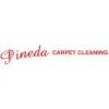 Pineda Carpet Cleaning