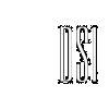 Dsi Group