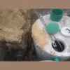 Snyder Septic