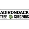 Adirondack Tree Surgeons