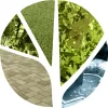 Green Escapes Nursery