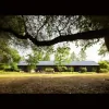 Dexter Estate Landscapes