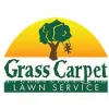 Grass Carpet Lawn Service