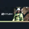 Xylem Tree Experts