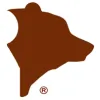 Bear Construction