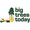 Big Trees Today
