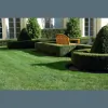 Louiso Lawn Care & Landscape