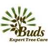 Buds Expert Tree Care