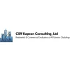 Cliff Kapson Consulting