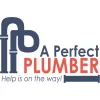 A Perfect Plumber