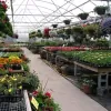 Louisburg Nursery