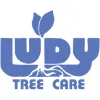 Ludy Tree Care