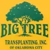 Big Tree Transplanting