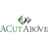 A Cut Above