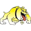 Bull Dog Security