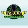 Druid Tree Services