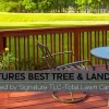 Signatures Best Tree & Landscape