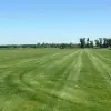 A & L Sod