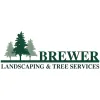 Todd's Tree Service