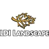 LDI Landscape