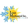 Lizut Mechanical
