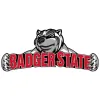 Badger State Restoration