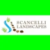 Scancelli Landscapes