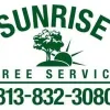 Sunrise Tree Service