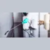 Alliance Pest Control