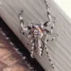 Cobra Pest Control