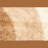 Agape Carpet Dyeing & Restoration