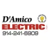 D'Amico Electric