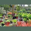 Seaside Growers