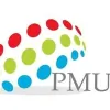 P M Unlimited