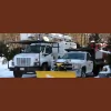 James English Tree Service