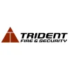 Trident Security Systems