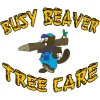 Busy Beaver Tree Care