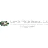 Asheville Wildlife Removal