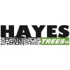 Hayes Tree