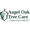 Angel Oak Tree Care