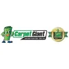 Carpet Giant