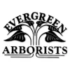 Evergreen Arborists