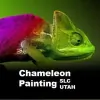 Chameleon Painting