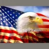 American Integrity HVAC
